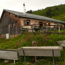 P1100051.JPG