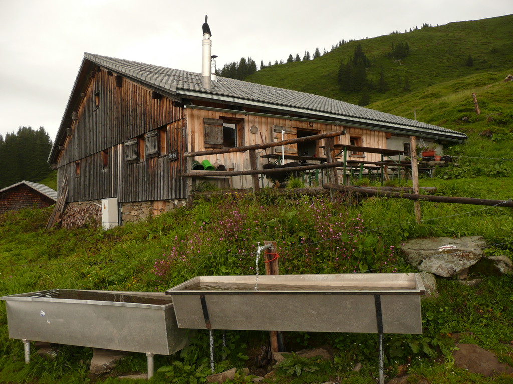 P1100051.JPG