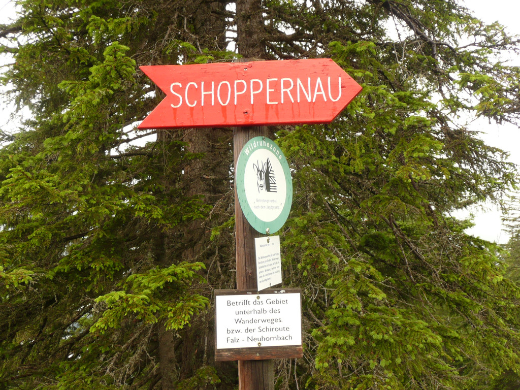P1100056.JPG