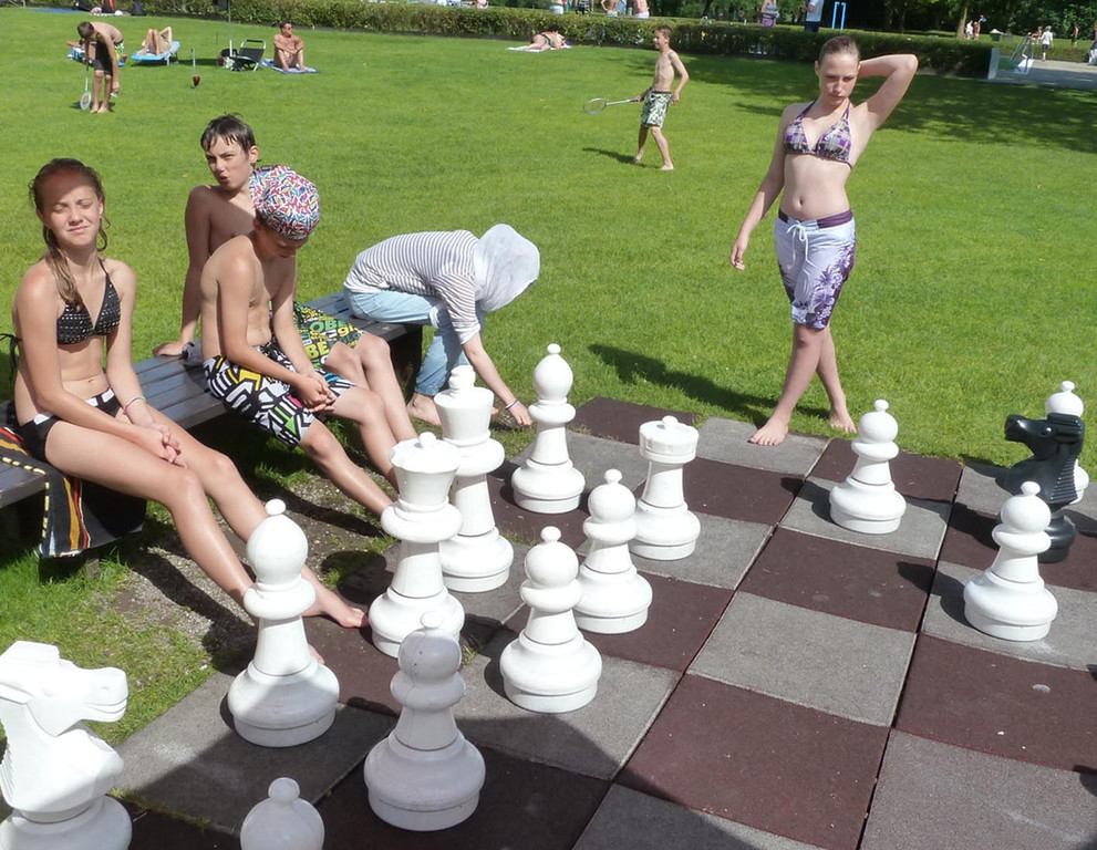 Schach1a_jpg-1341866883