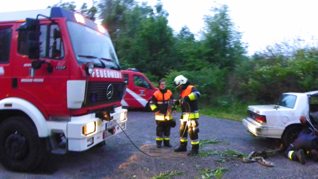 115_2705_JPG-1341871955