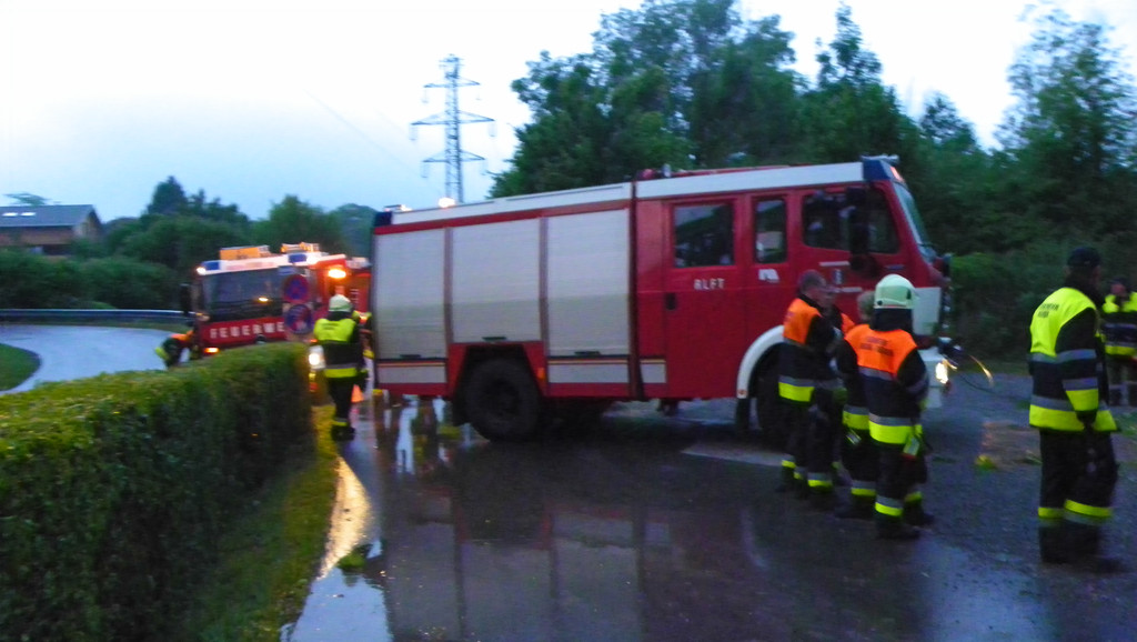 115_2714_JPG-1341872146