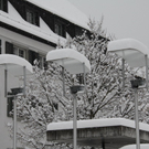 Winterimpressionen 010 085.jpg