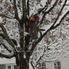 Winterimpressionen 010 087.jpg