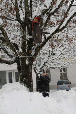 Winterimpressionen 010 087.jpg