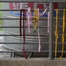 DAB0810-20120705.jpg