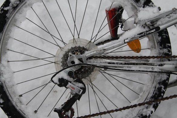 Winterimpressionen 010 118.jpg