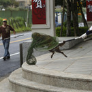 DAB0794-20120705.jpg