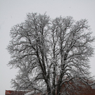 Winterimpressionen 010 128.jpg