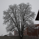 Winterimpressionen 010 130.jpg