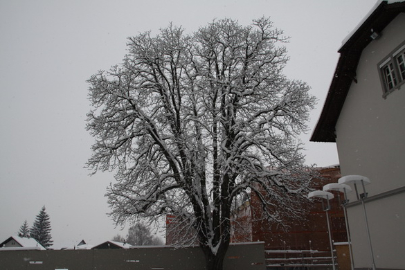 Winterimpressionen 010 130.jpg