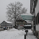 Winterimpressionen 010 131.jpg