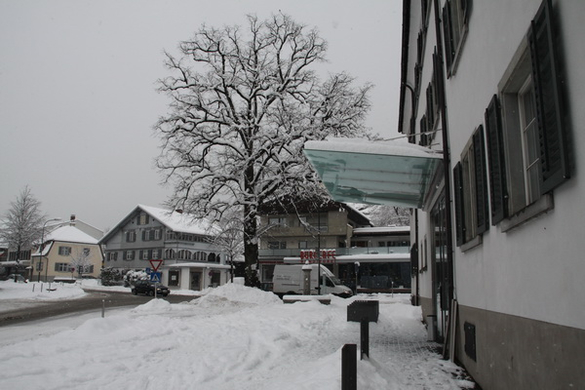 Winterimpressionen 010 131.jpg