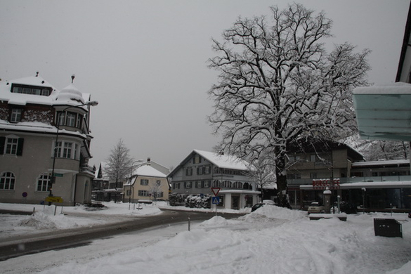 Winterimpressionen 010 138.jpg