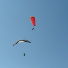 08072012paragleiterat05007aktivnews_32.jpg