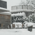 Winterimpressionen 010 186.jpg