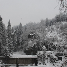 Winterimpressionen 010 193.jpg