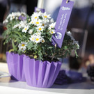 Bild _13_jpg-1341922139