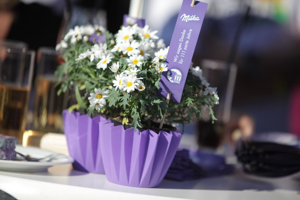 Bild _13_jpg-1341922139