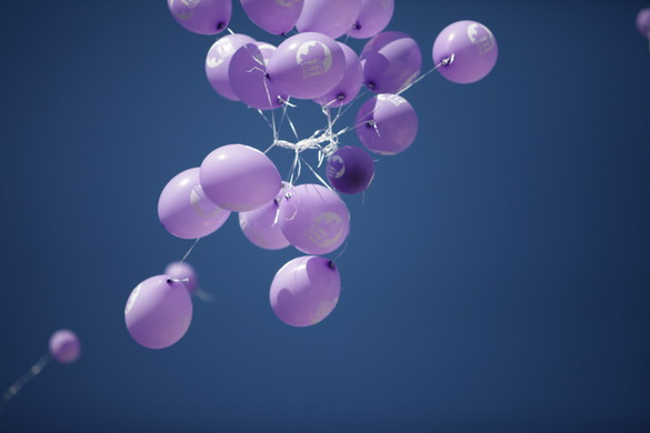 Bild _09_jpg-1341923834