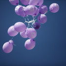 Bild _09_jpg-1341926839