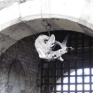 IMG_0767_JPG-1341961195