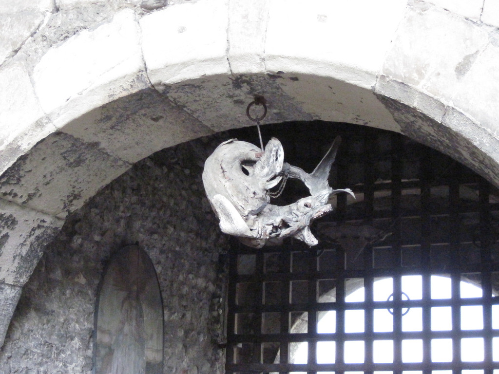 IMG_0767_JPG-1341961195