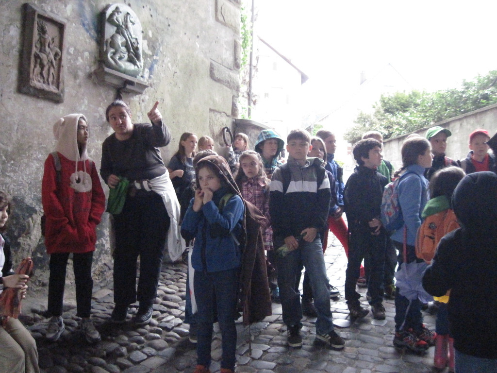 IMG_0770_JPG-1341961222