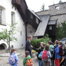 IMG_0775_JPG-1341961261