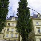 115_0831_JPG-1341962791