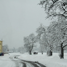Winterimpressionen 010 345.jpg