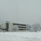 Winterimpressionen 010 350.jpg