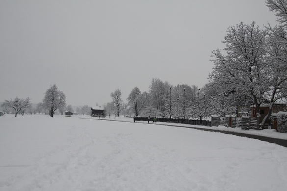 Winterimpressionen 010 354.jpg