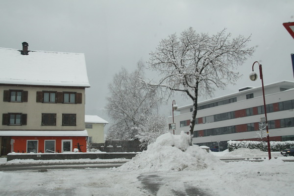 Winterimpressionen 010 390.jpg