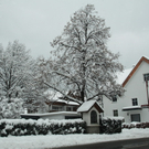 Winterimpressionen 010 400.jpg