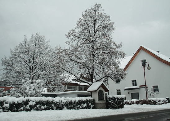 Winterimpressionen 010 400.jpg