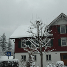 Winterimpressionen 010 435.jpg