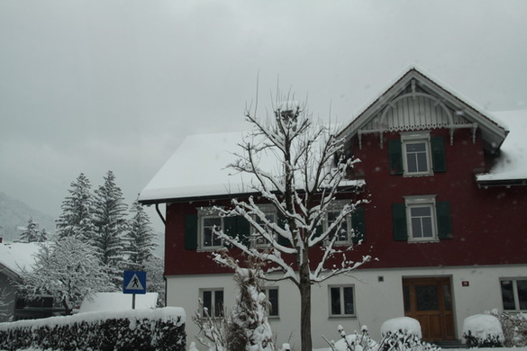 Winterimpressionen 010 435.jpg