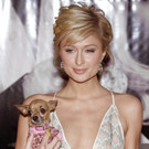 ParisHilton.jpg