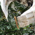 Abbruch Pfarrhaus Fu__ach 11-07-2012 49_jpg-1342019949