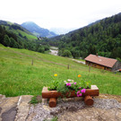 Alpe Buchen 8_7_2012 004_JPG-1342036966