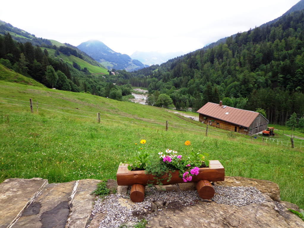 Alpe Buchen 8_7_2012 004_JPG-1342036966