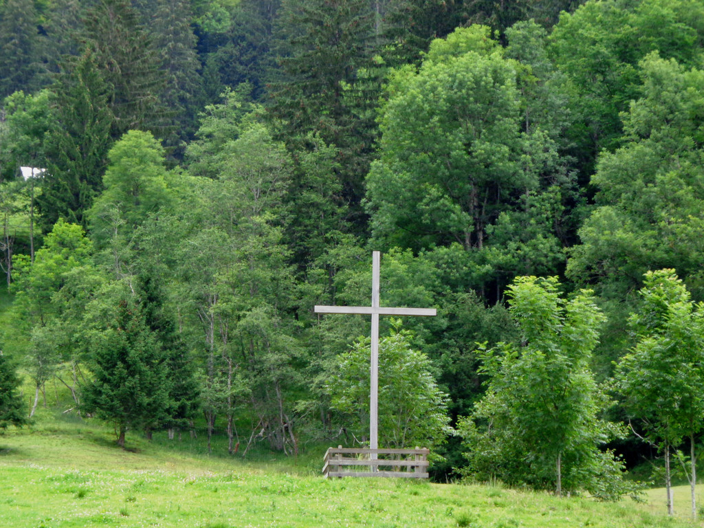 Alpe Buchen 8_7_2012 019_JPG-1342037253