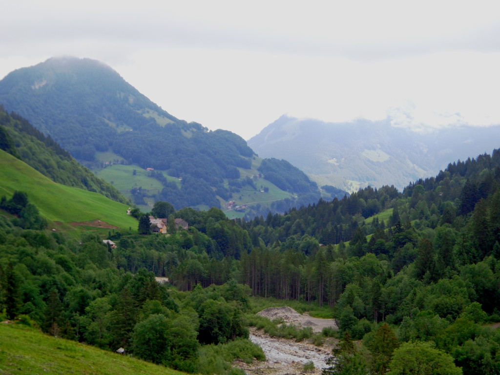 Alpe Buchen 8_7_2012 005_JPG-1342037043