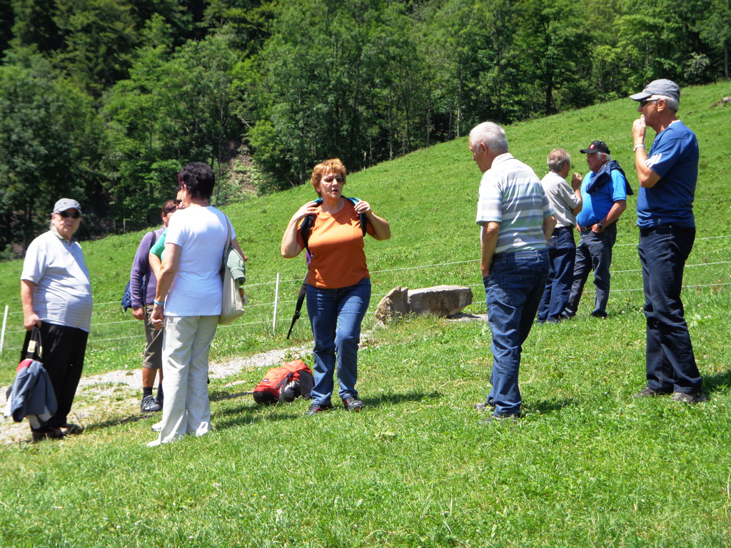 Alpe Buchen 8_7_2012 061_JPG-1342038338