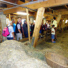 Alpe Buchen 8_7_2012 079_JPG-1342038618