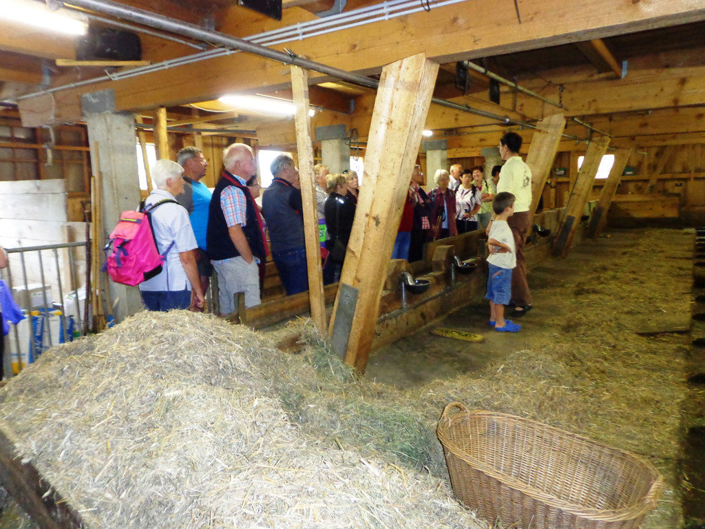 Alpe Buchen 8_7_2012 079_JPG-1342038618