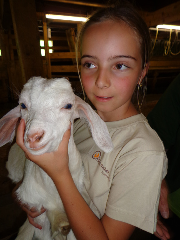 Alpe Buchen 8_7_2012 091_JPG-1342038893