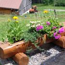 Alpe Buchen 8_7_2012 124_JPG-1342039316