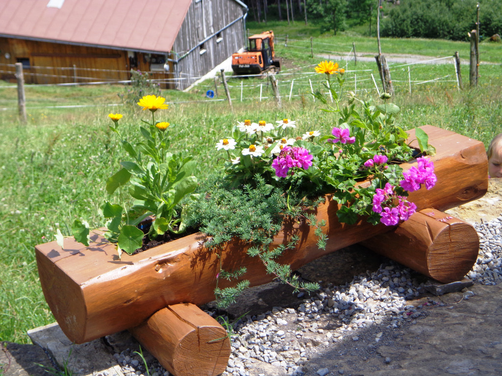 Alpe Buchen 8_7_2012 124_JPG-1342039316